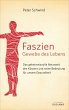 Faszien - Gewebe des Lebens - Bild 1