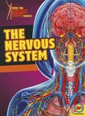 The Nervous System