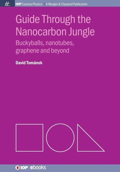 Guide Through the Nanocarbon Jungle