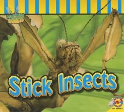 Stick Insects - Carr, Aaron