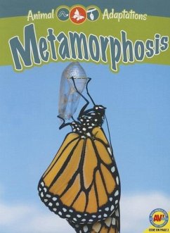 Metamorphosis - Kopp, Megan