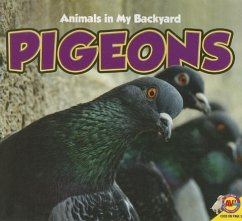 Pigeons - Carr, Aaron