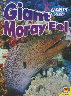 Giant Moray Eel - Yasuda, Anita