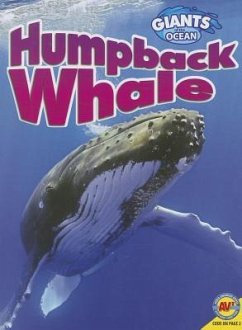 Humpback Whale - Zayarny, Jack