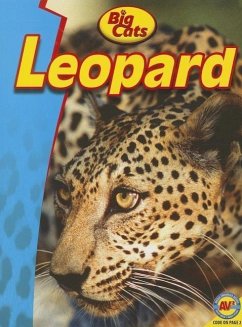 Leopard - Goldsworthy, Steve