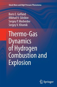 Thermo-Gas Dynamics of Hydrogen Combustion and Explosion - Gelfand, Boris E.;Silnikov, Mikhail V.;Medvedev, Sergey P.