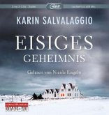 Eisiges Geheimnis / Macy Greeley Bd.1 (2 MP3-CDs)