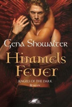 Cover Himmelsfeuer / Angels of the Dark Bd.3