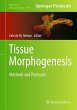 Tissue Morphogenesis - Bild 1