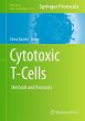 Cytotoxic T-Cells - Bild 1