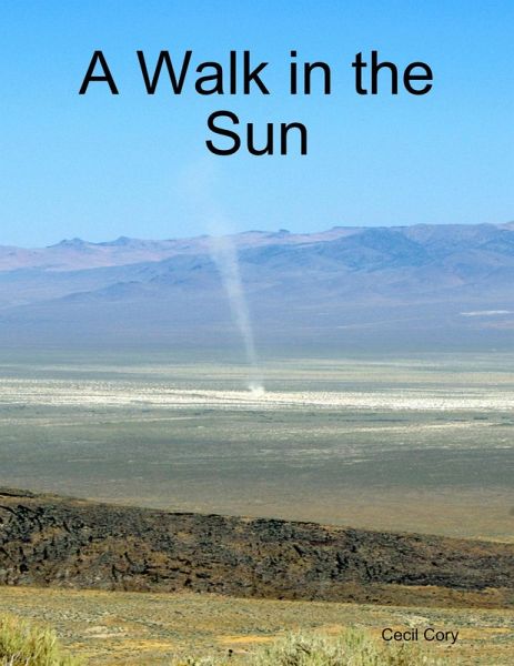 A Walk in the Sun (eBook, ePUB)