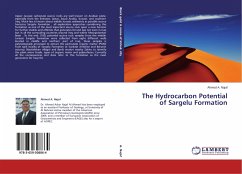 The Hydrocarbon Potential of Sargelu Formation