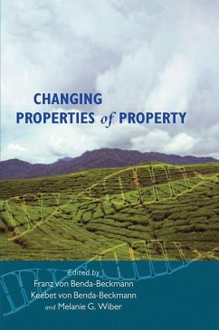 Changing Properties of Property (eBook, PDF)