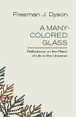 A Many-Colored Glass (eBook, ePUB)