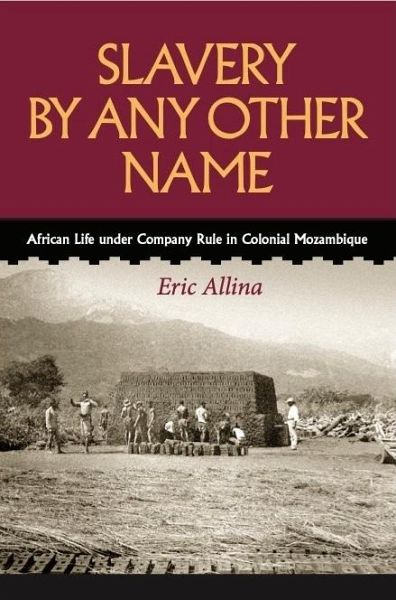 Slavery by Any Other Name (eBook, ePUB)