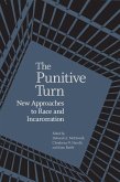 The Punitive Turn (eBook, ePUB)