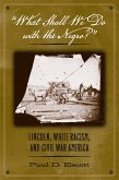 "What Shall We Do with the Negro?" (eBook, ePUB)
