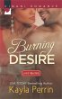 Burning Desire (eBook, ePUB) - Bild 1
