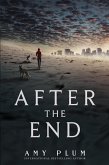After the End (eBook, ePUB)
