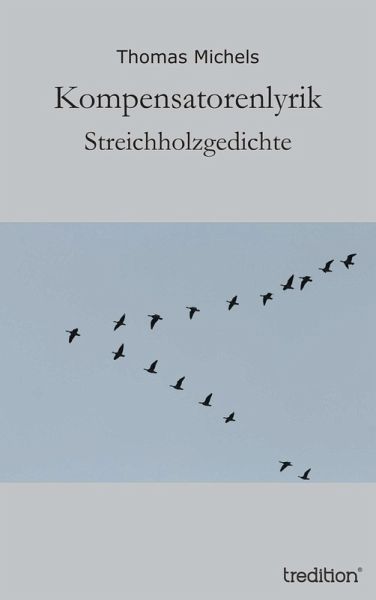 Kompensatorenlyrik (eBook, ePUB)