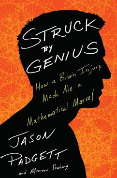 Struck by Genius (eBook, ePUB) - Padgett, Jason; Seaberg, Maureen