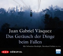 Das Geräusch der Dinge beim Fallen - Vásquez, Juan Gabriel