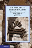 Mamluk City in the Middle East (eBook, PDF)