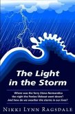 Light in the Storm (eBook, ePUB)