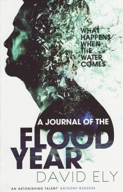 Journal Of The Flood Year (eBook, ePUB) - Ely, David