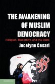Awakening of Muslim Democracy (eBook, PDF)