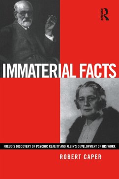 Cover Immaterial Facts (eBook, ePUB)