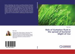 Role of Guttation fluid in the spread of bacterial blight of rice