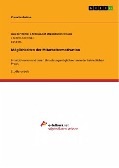 Möglichkeiten der Mitarbeitermotivation (eBook, PDF)