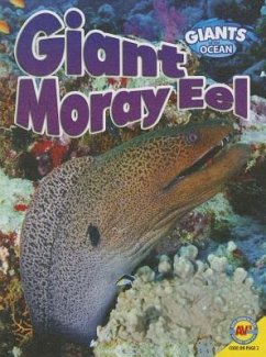 Giant Moray Eel - Yasuda, Anita