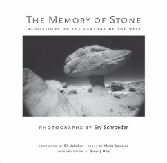 The Memory of Stone - Schroeder, Erv