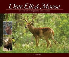Deer, Elk & Moose: Grand and Majestic Creatures - Tekiela, Stan