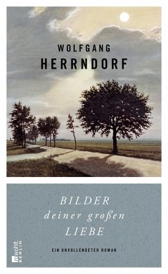 Bilder deiner großen Liebe - Herrndorf, Wolfgang