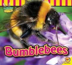 Bumblebees - Carr, Aaron