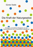 Die Kraft der Naturgesetze (eBook, ePUB)