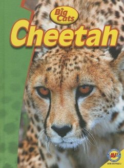 Cheetah - Goldsworthy, Steve