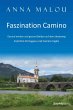 Faszination Camino - Gesund werden und... - Bild 1