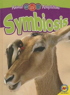 Symbiosis - Zayarny, Jack