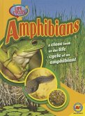 Amphibians