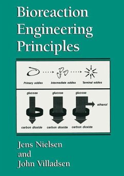 Bioreaction Engineering Principles - Nielsen, Jens;Villadsen, John