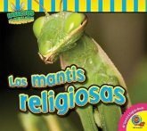 Las Mantis Religiosas