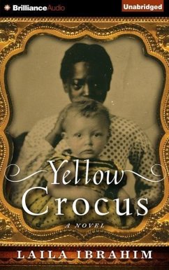 Yellow Crocus - Ibrahim, Laila