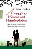 Amor kommt auf Hundepfoten