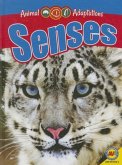 Senses