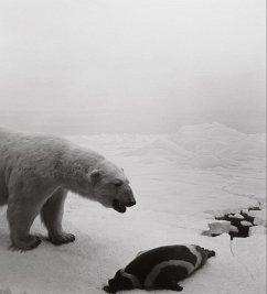 Hiroshi Sugimoto: Dioramas