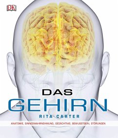 Das Gehirn - Carter, Rita